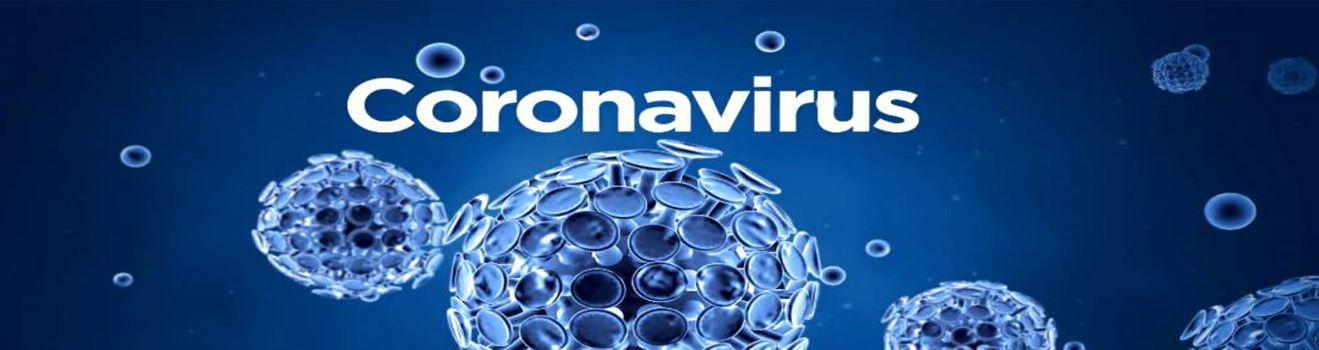  Coronavirus Updates Spain