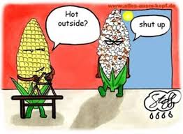 heatwave warning, hot outside